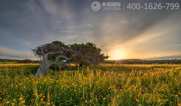 【永銘國際】解析：塞浦路斯購房移民的4個關(guān)鍵點