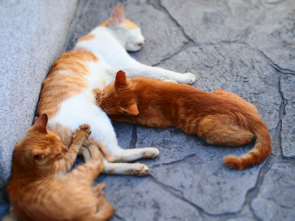 畢業(yè)之前去臺灣看看世界