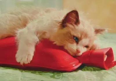 女生每個(gè)月的那幾天怎么說(shuō)？外國(guó)妹子竟然也說(shuō)“大姨媽”！