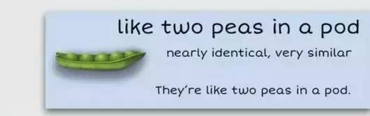 萌你一臉的生活常用諺語(yǔ)！