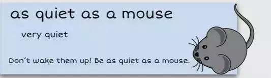 萌你一臉的生活常用諺語(yǔ)！