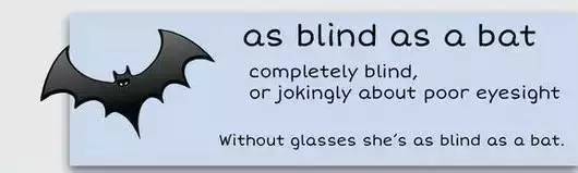 萌你一臉的生活常用諺語(yǔ)！