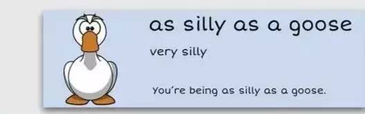 萌你一臉的生活常用諺語(yǔ)！