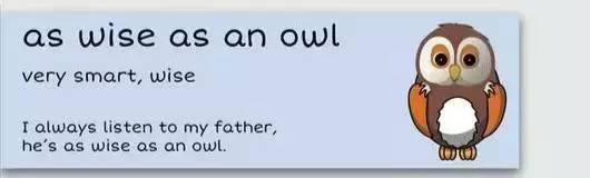 萌你一臉的生活常用諺語(yǔ)！