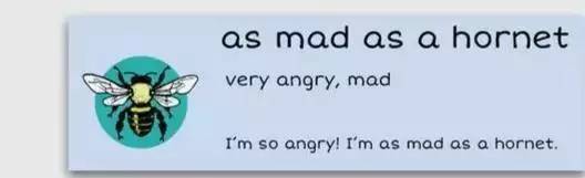 萌你一臉的生活常用諺語(yǔ)！