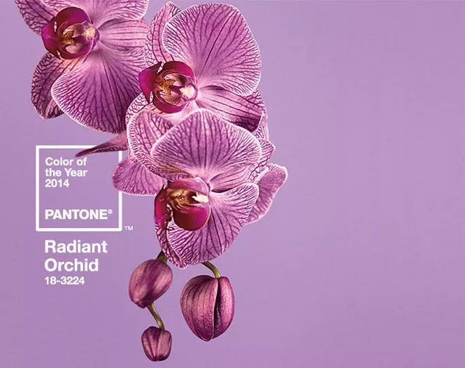 搶先看！2018年度色彩如此神秘又高科技