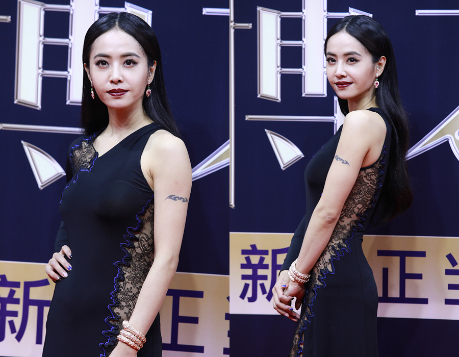 群星閃耀2017微博之夜盛典（組圖）