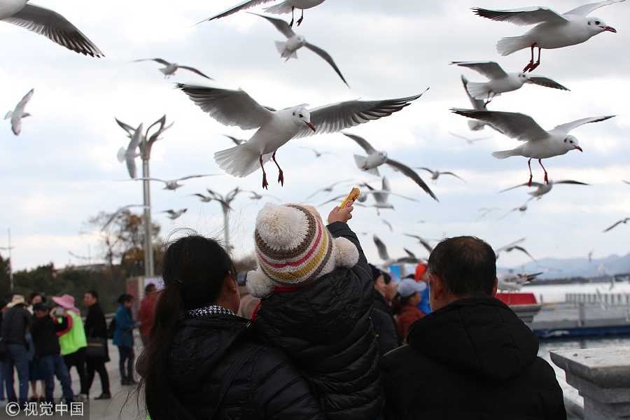 春節(jié)不知道去哪玩？國內(nèi)十大熱門城市走起?。ńM圖）