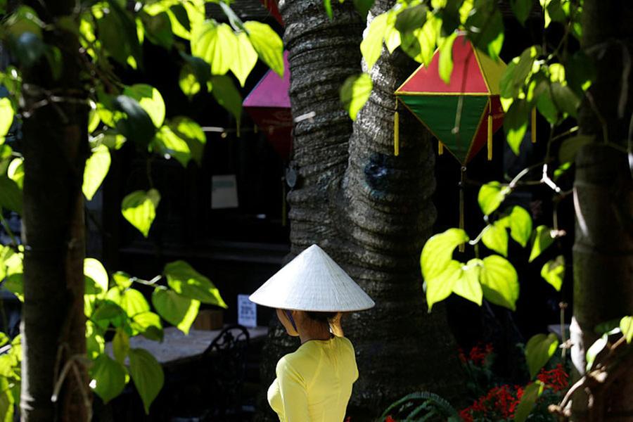 2018年春節(jié)國(guó)人最愛去的十大境外旅游地（組圖）