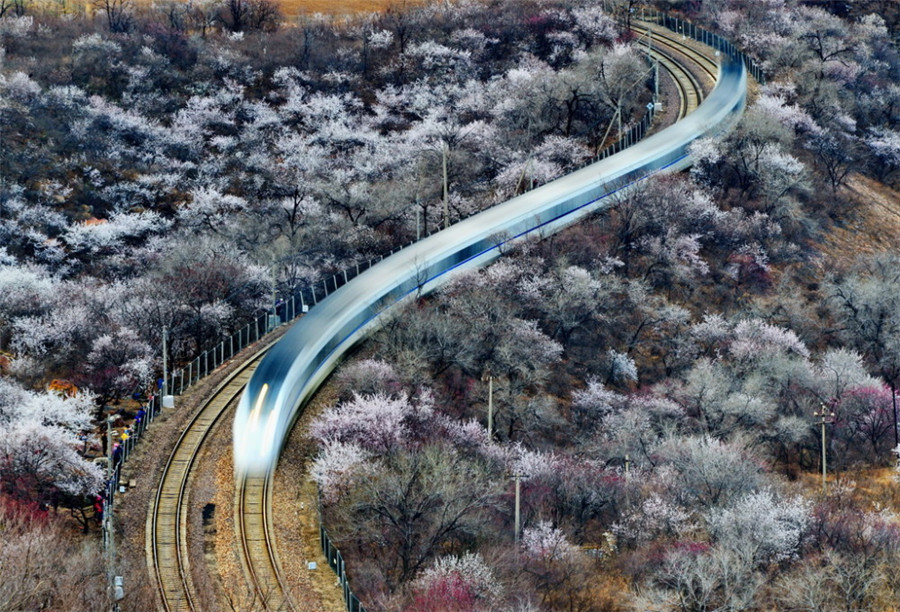 如詩如畫：“美麗中國(guó)·夢(mèng)想中國(guó)”攝影大賽優(yōu)秀作品欣賞（組圖）