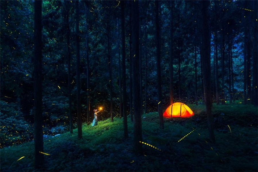 如詩如畫：“美麗中國(guó)·夢(mèng)想中國(guó)”攝影大賽優(yōu)秀作品欣賞（組圖）