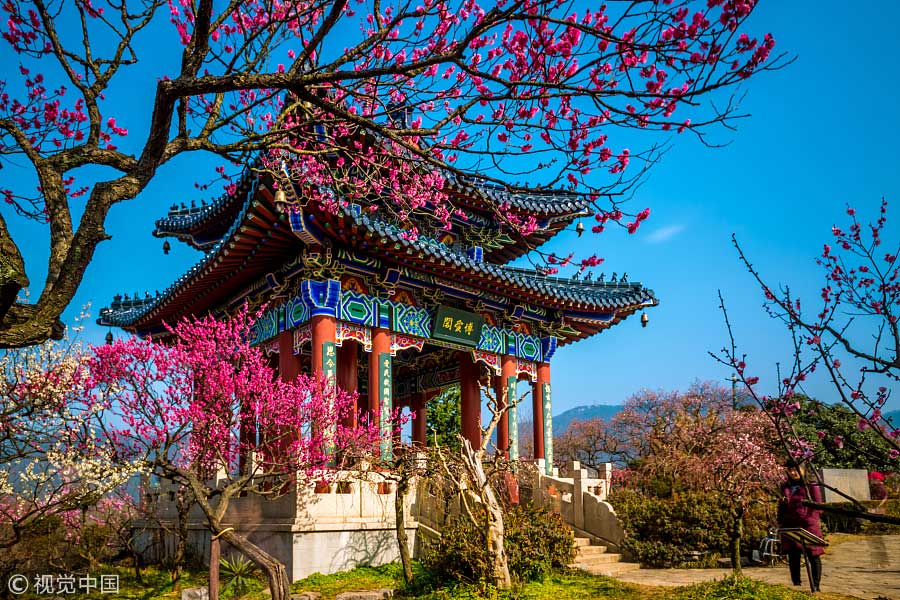 踏青季：春天盛開的9種鮮花 哪一種最美？（組圖）