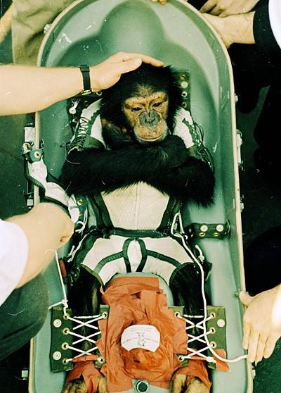 盤點(diǎn)進(jìn)入太空的動(dòng)物宇航員：部分英勇殉職(圖)