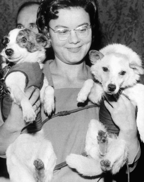 盤點(diǎn)進(jìn)入太空的動(dòng)物宇航員：部分英勇殉職(圖)